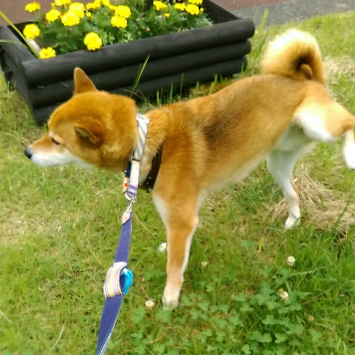 51bd7830 ad70 4450 8ffa e2842e03a3b0 1563704908309