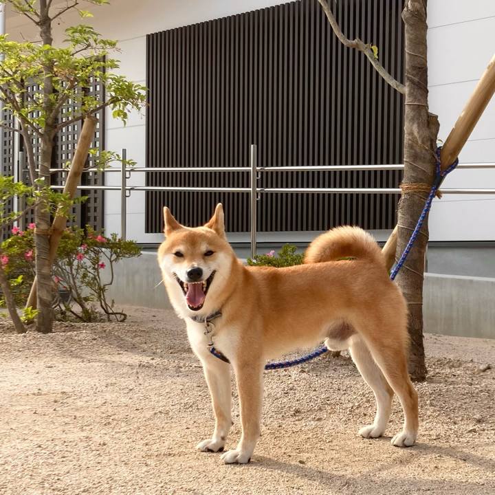 51bd7adb fa58 496f 8349 619da4a73805 1685178653478