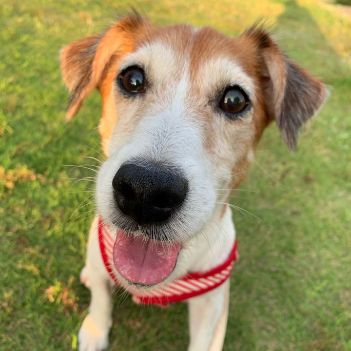 51bdb6bf 82ac 4810 ae0d 3259b15da89c 1571151174595