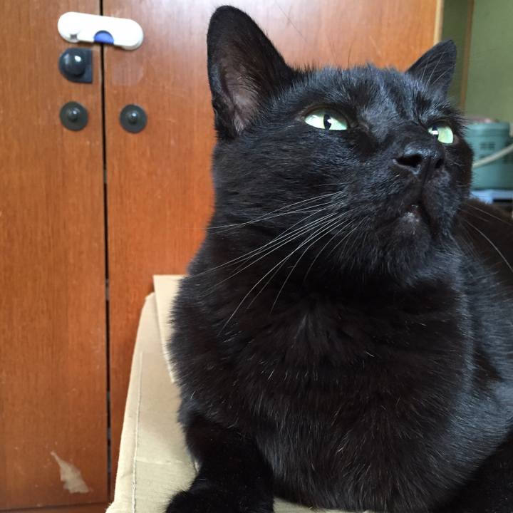 51bdbb93 fc9f 430f ad58 aed5d7f275e8 1528171712356