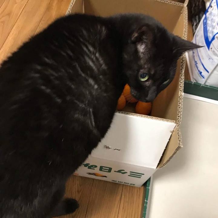 51bddc51 7b04 4e8c be52 f07b2a9ff345 1701472188349