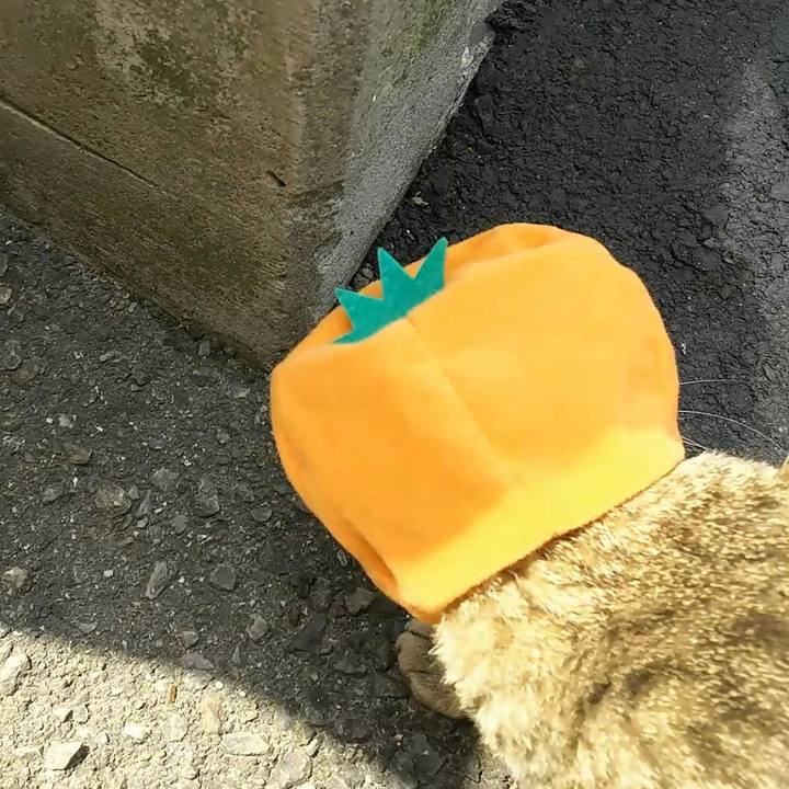 51be0e34 a4a6 4d4f 8dc4 d7bc7b5ab938 1522560296020