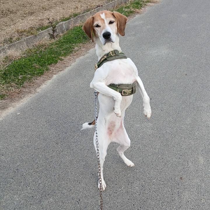 51be4f04 588c 40ea 958f 2e739d62da7e 1767328683808