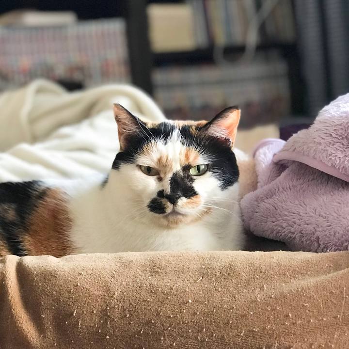 51be570a 6983 4837 97be dc67951fe0f7 1520211320762