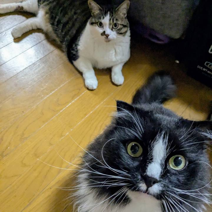 51be6961 a9db 454f 9daf 7d9377247da2 1750588918415