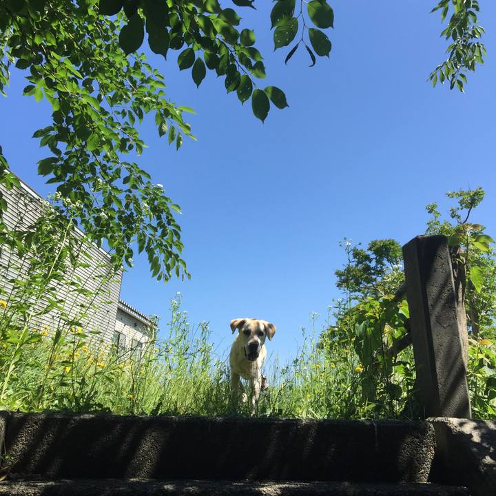 51be70fc b5b5 4b26 b86a cd23ae9a2ae6 1553949143769