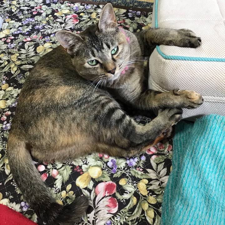 51be940c c90c 4188 90d7 748d252913a1 1595123001538