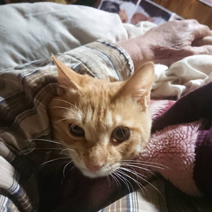 51be940e 408e 4168 a27f af11e3e10aa9 1635453470721