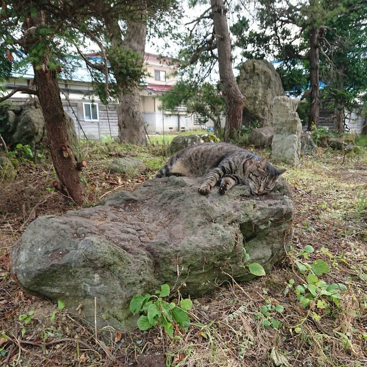 51be9840 b3d9 49a4 953a 6f5371c76dd8 1658735585300