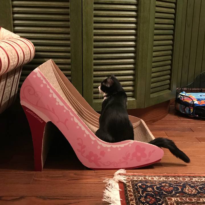 51bf1c14 fa2b 4fca 81b1 e8067bef827c 1512084258828