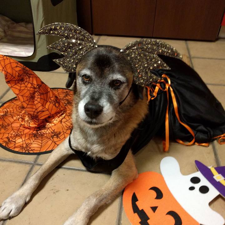 51bf39ae eae4 4dc9 ac8c eef76ea8a0db 1539939134170