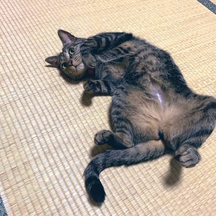 51bfa6ff ab56 4e89 8ce6 987cbd597086 1558742789655