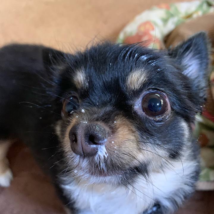 51bfac15 f7c4 4a73 8dc5 9e3df32a9d18 1556920023418