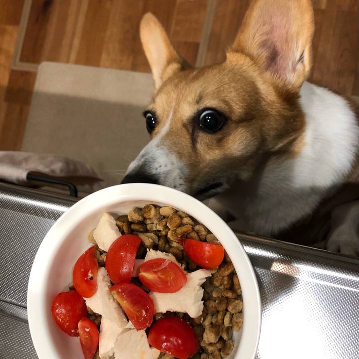 51bfc5c1 6f0b 4e73 adaf 91a2a0dc48a1 1700488081917