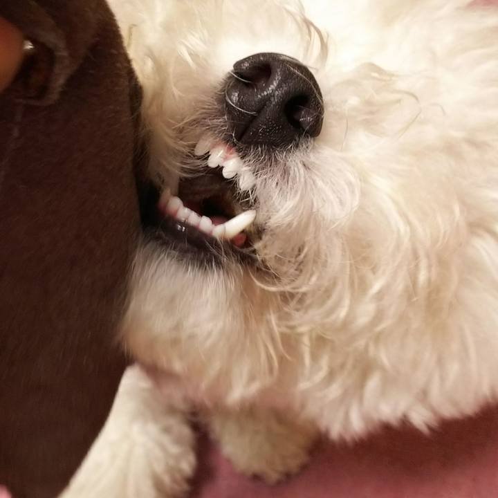 51bfcb00 6361 4334 9b4b 1e9e09cf5970 1510140581587