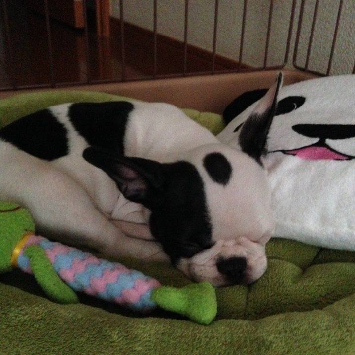 51bfd80c aa55 4ff4 8c8a 48b4719d047f 1557845525758