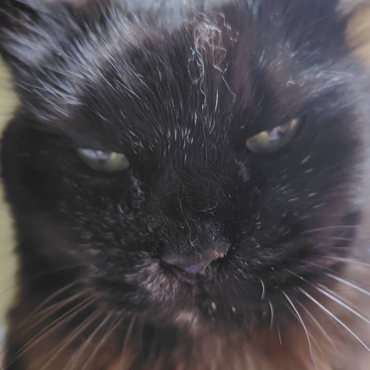 51bfe748 7258 4b1f b514 0d06969e353c 1767694237461