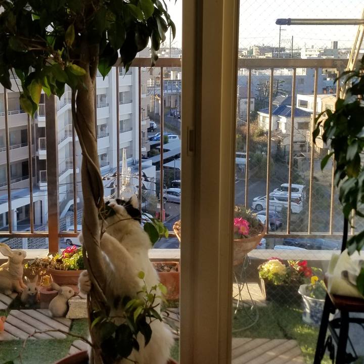 51c05781 20fa 457d 9735 ba40c53f7302 1549928973695