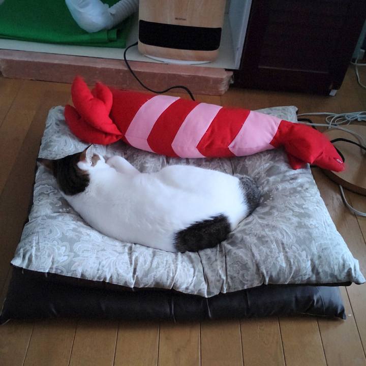 51c0d248 7aac 4637 9aad 5b7e4b3bf879 1726818269497