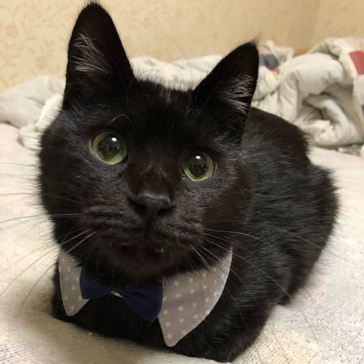 51c0fba6 0eb2 455d 99bf 86d53f4e5de8 1572780573362