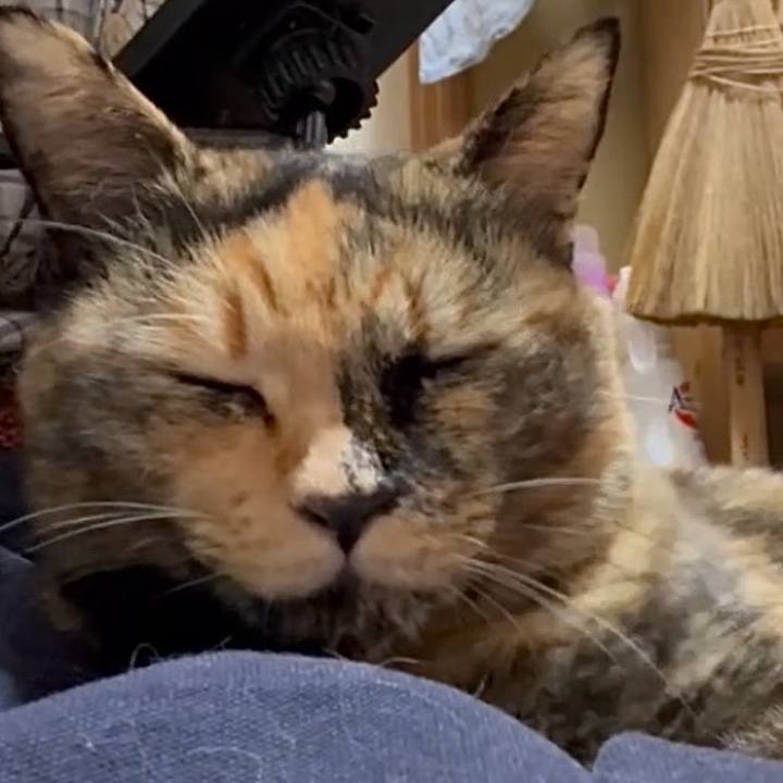 51c1a797 f84b 492d a54b bb43126137e2 1761447213045