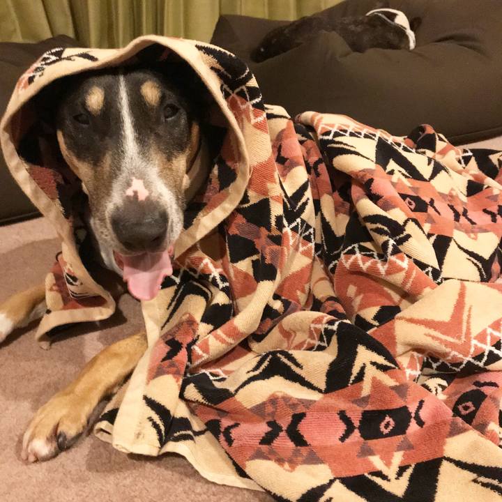 51c1bf8c 2df4 493d bca9 c94fbe1687c1 1516457005917