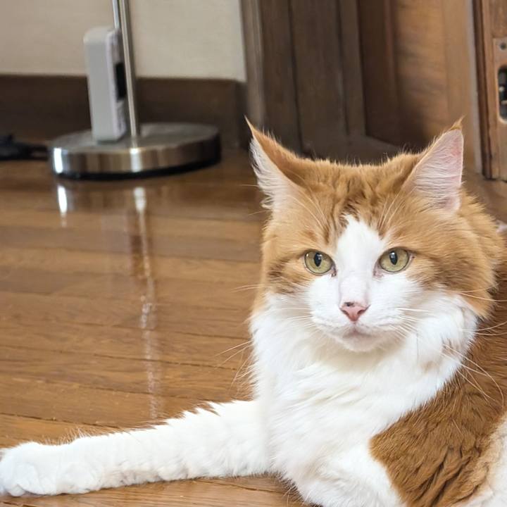 51c1ca41 5d2b 4104 bb8e 85fc504e1eea 1758860816831