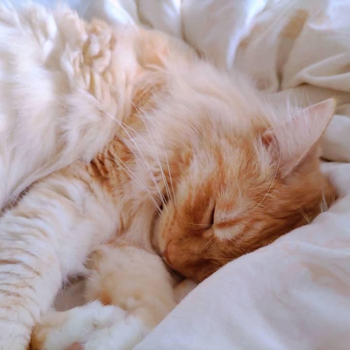 51c1ec1b 2262 4ee0 9fa6 66b3f4cea4c8 1685833879026