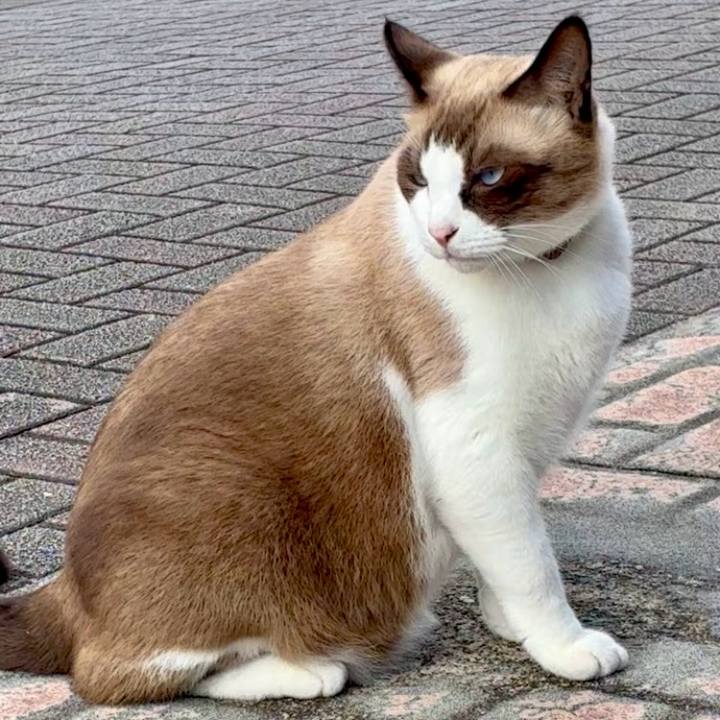 51c1f13b 0d58 4674 b207 e64ee3448363 1761379431601