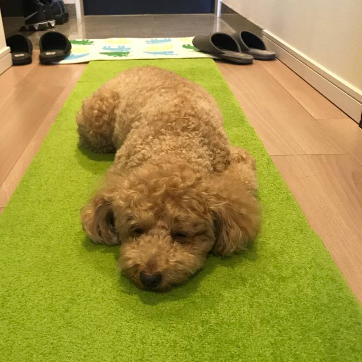 51c24a50 1dfe 4a34 9cff f5688be9d515 1527131828527