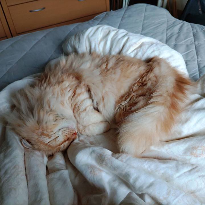 51c26781 2c78 4710 80e1 02cf5ca60781 1686091460686