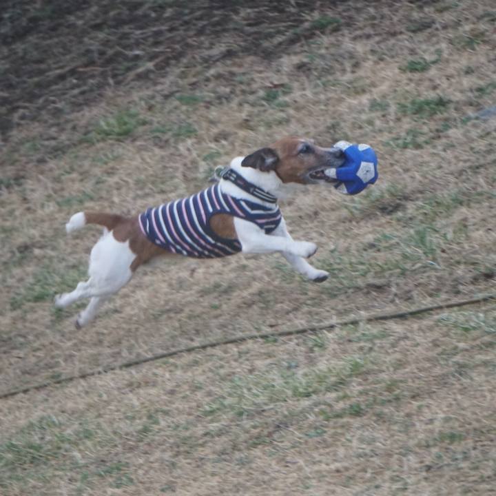 51c2729a fb23 4e3c 9a04 15ba0e911e9f 1615333954506