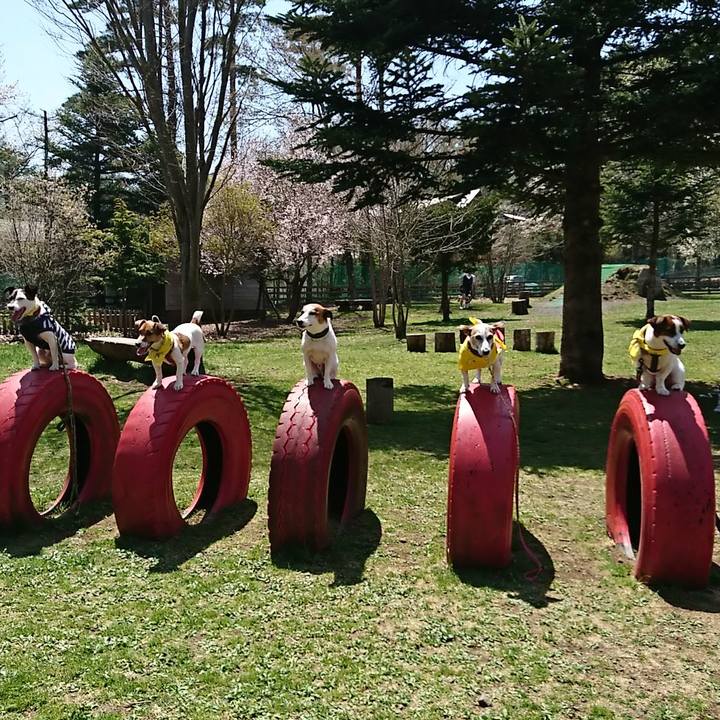 51c2a3a0 52bc 494f ae41 74d2c74a9a43 1524371455660