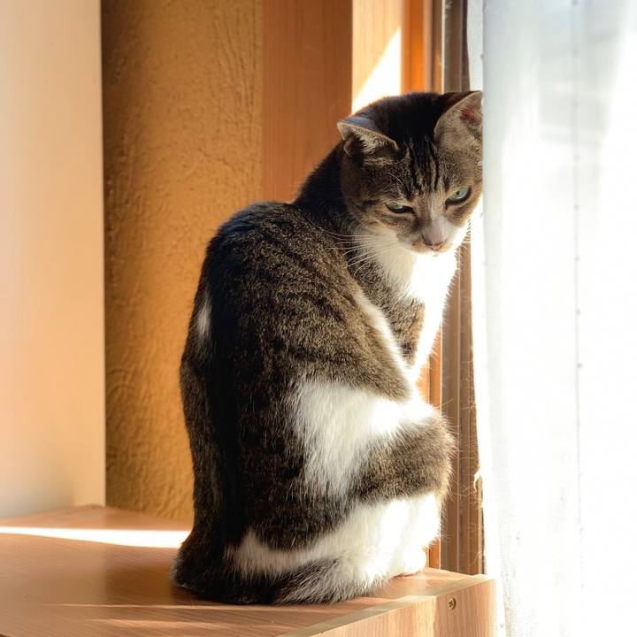 51c2b6de 97d2 4d83 9b87 a476c064001e 1572571282279