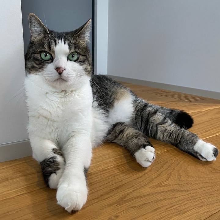 51c2b7df 36b8 4ac5 94aa abcfa56de9e7 1752307593776