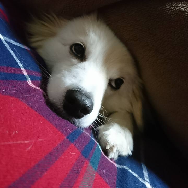 51c2c736 82c5 4b2f b9bd 78ab7368f60f 1515878910359