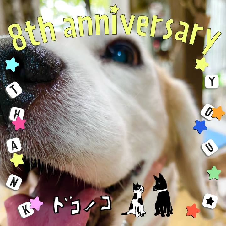 51c2e348 afd3 4816 9c8a c4edd9ed3e58 1717555272301