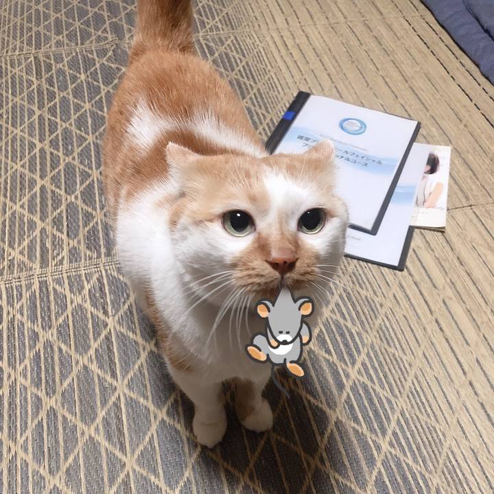 51c2e55a 04c1 4c86 906b 43575fc5d9ff 1571984929954