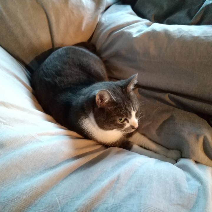 51c312e4 8e84 4862 9bac 2288b6ca05ee 1606081583075