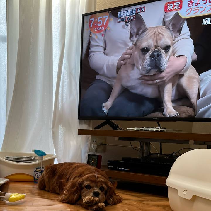 51c31995 0826 44e5 bec4 969e764983c3 1766703544838