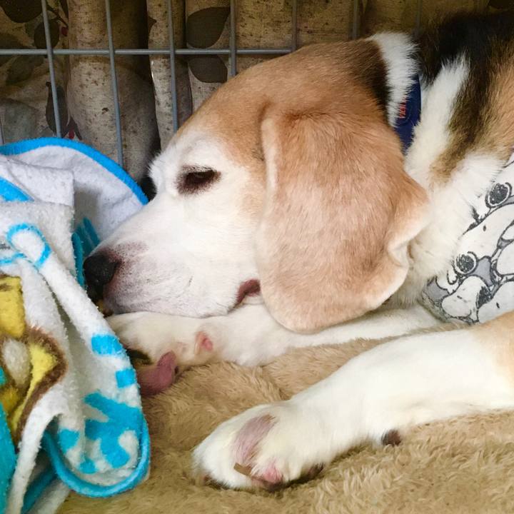 51c3288d eddb 4a43 a0ca 88abe04b5cbf 1574655791535