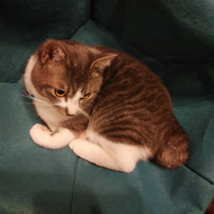 51c35844 ae77 48af bb26 e5520dc7737c 1580483016333