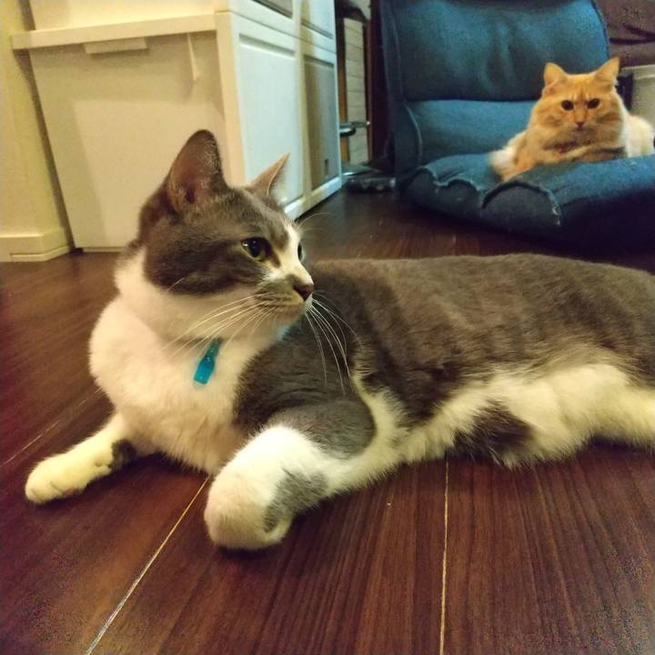 51c371cb d0c9 4d69 92e6 77f8a6d01707 1637012207070