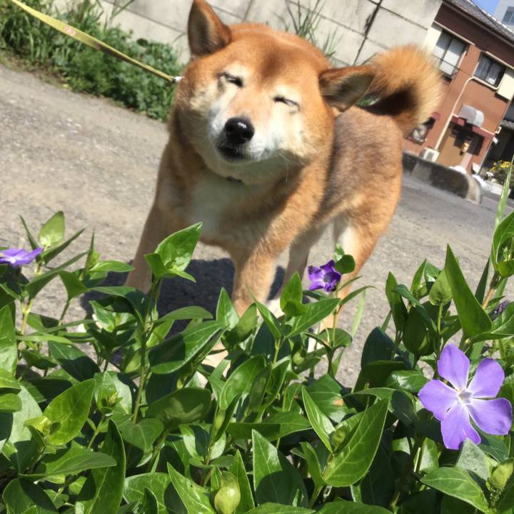 51c3d67f 7bce 4551 9607 ba1fa4e96db3 1585974343279