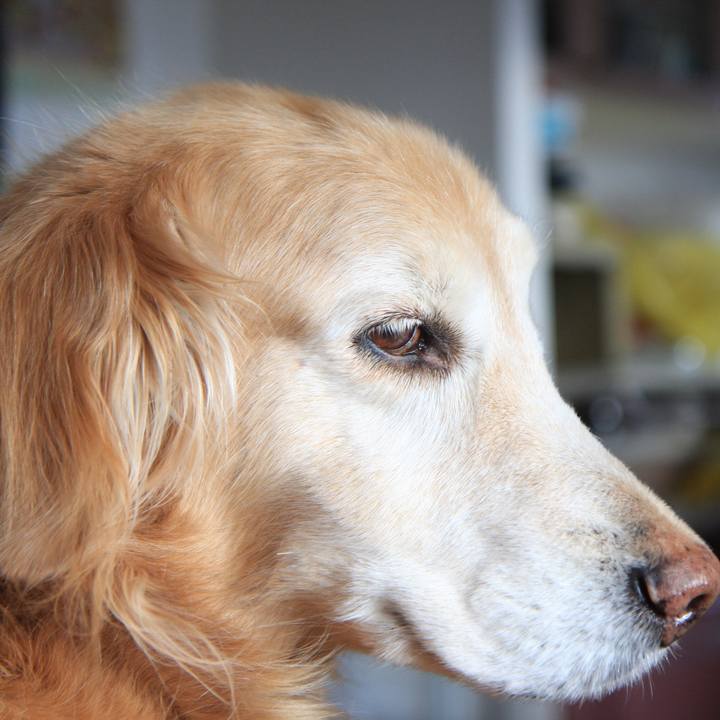 51c3de5f 9188 43f9 bbc4 b84b80723c95 1764974127433