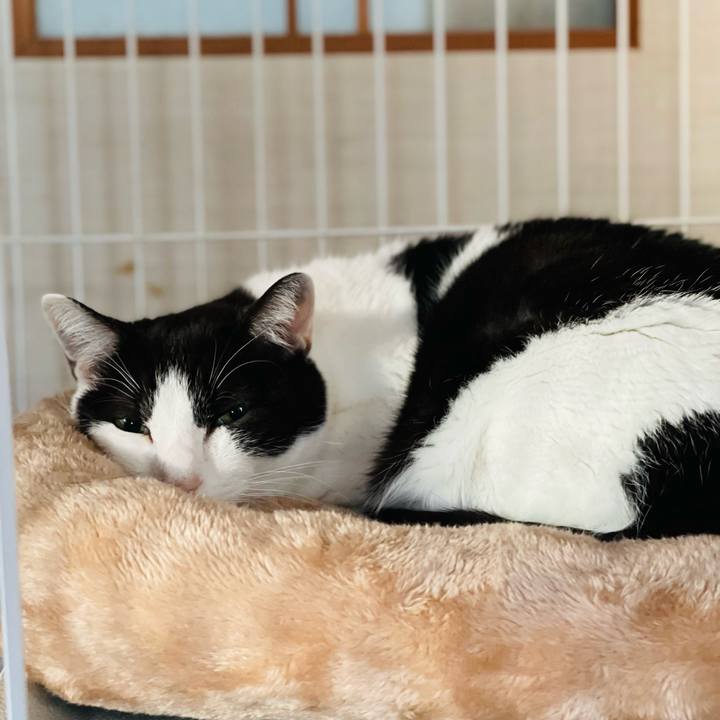 51c3fa64 00ff 4591 842a 3f1770e6a0e1 1641432479150