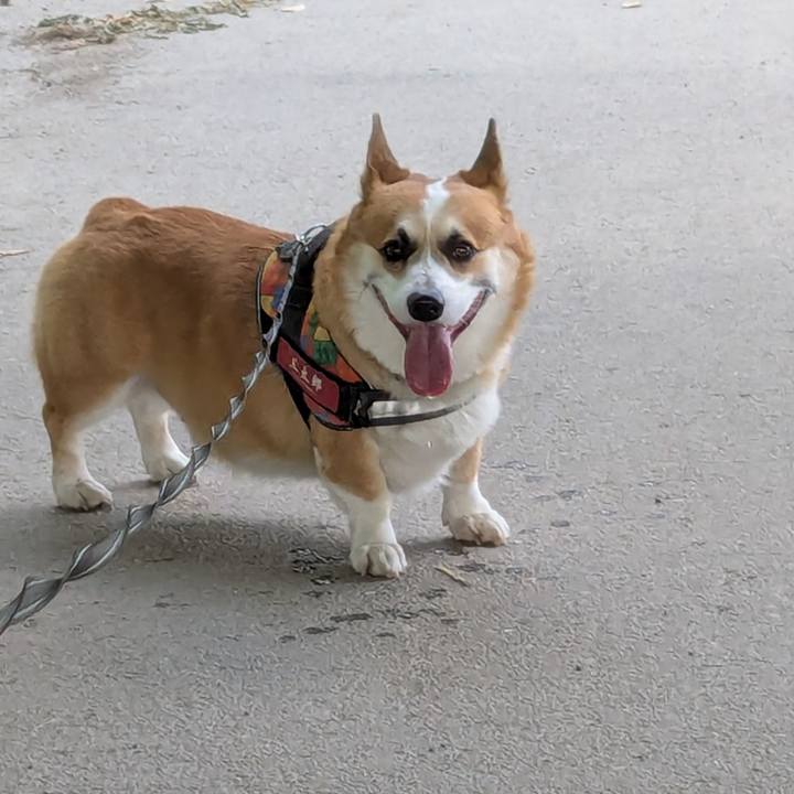 51c3fb47 07c2 4e7c a5a8 29dfa8b2534d 1756254433657