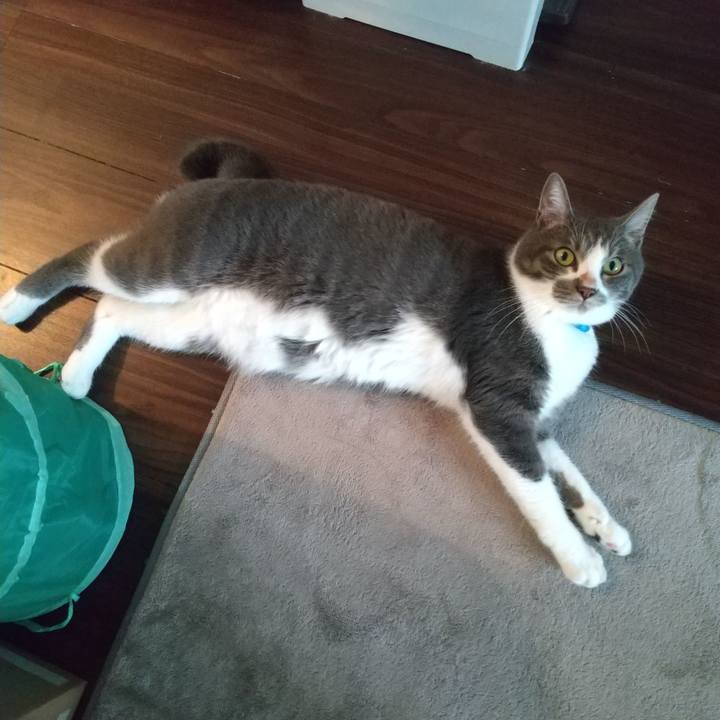 51c41f12 7637 435d b7c7 77ea16d48a3b 1600828068915