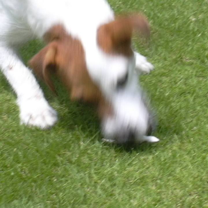 51c434cc 0419 4bb8 b4fd 85e2976d0aff 1523942414172