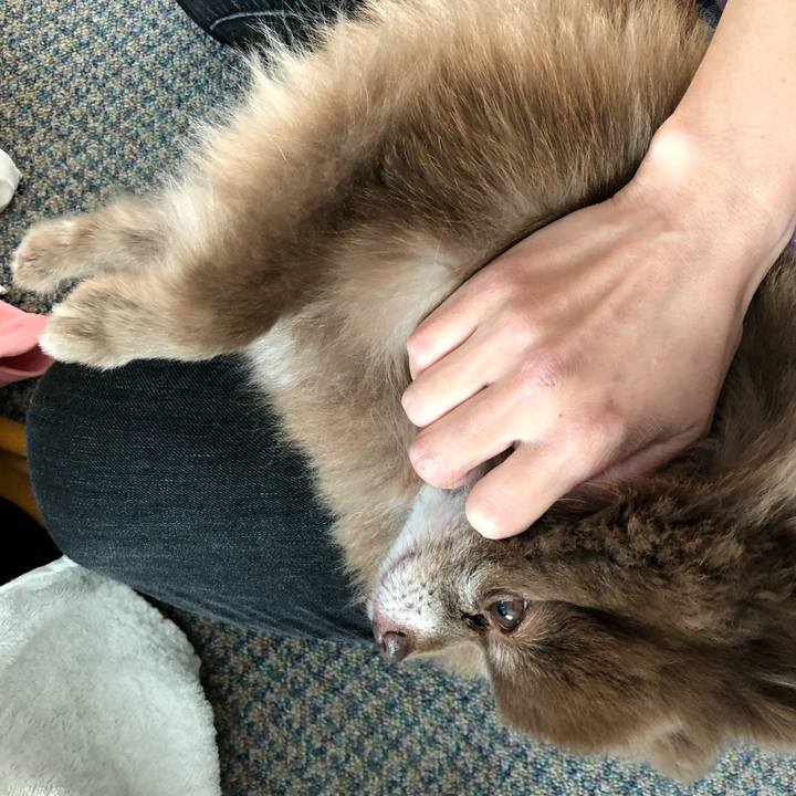 51c44011 f7af 43b5 af65 77aada001df4 1542236535513